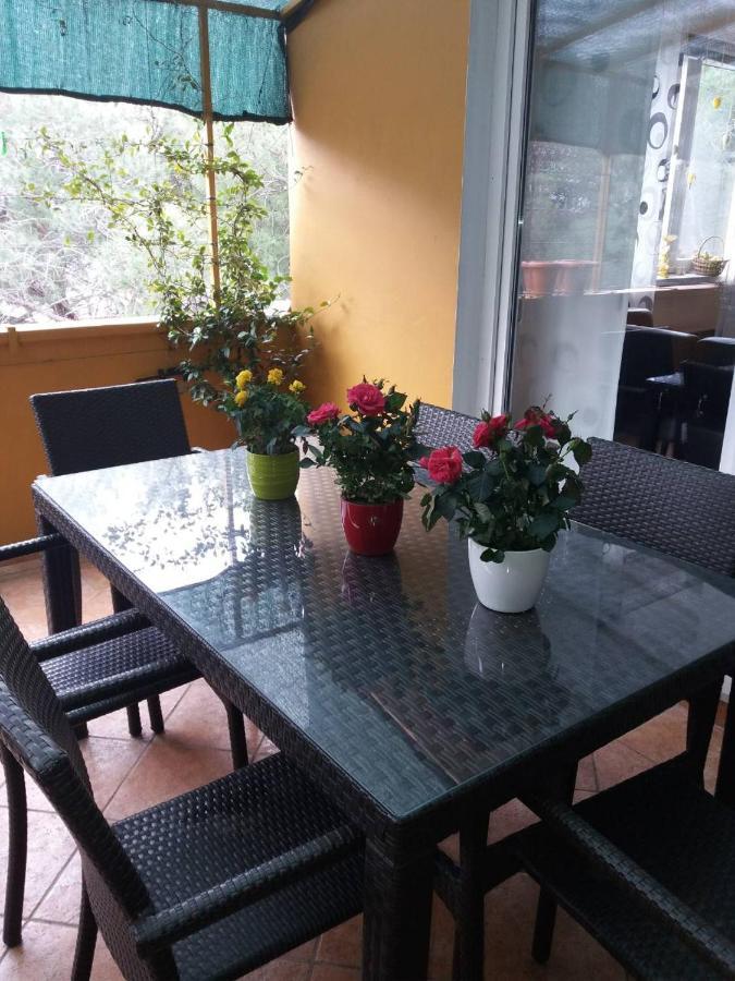 Apartman Lucica 자다르 외부 사진
