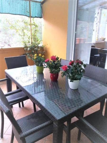 Apartman Lucica 자다르 외부 사진